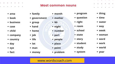 is coach a common noun.